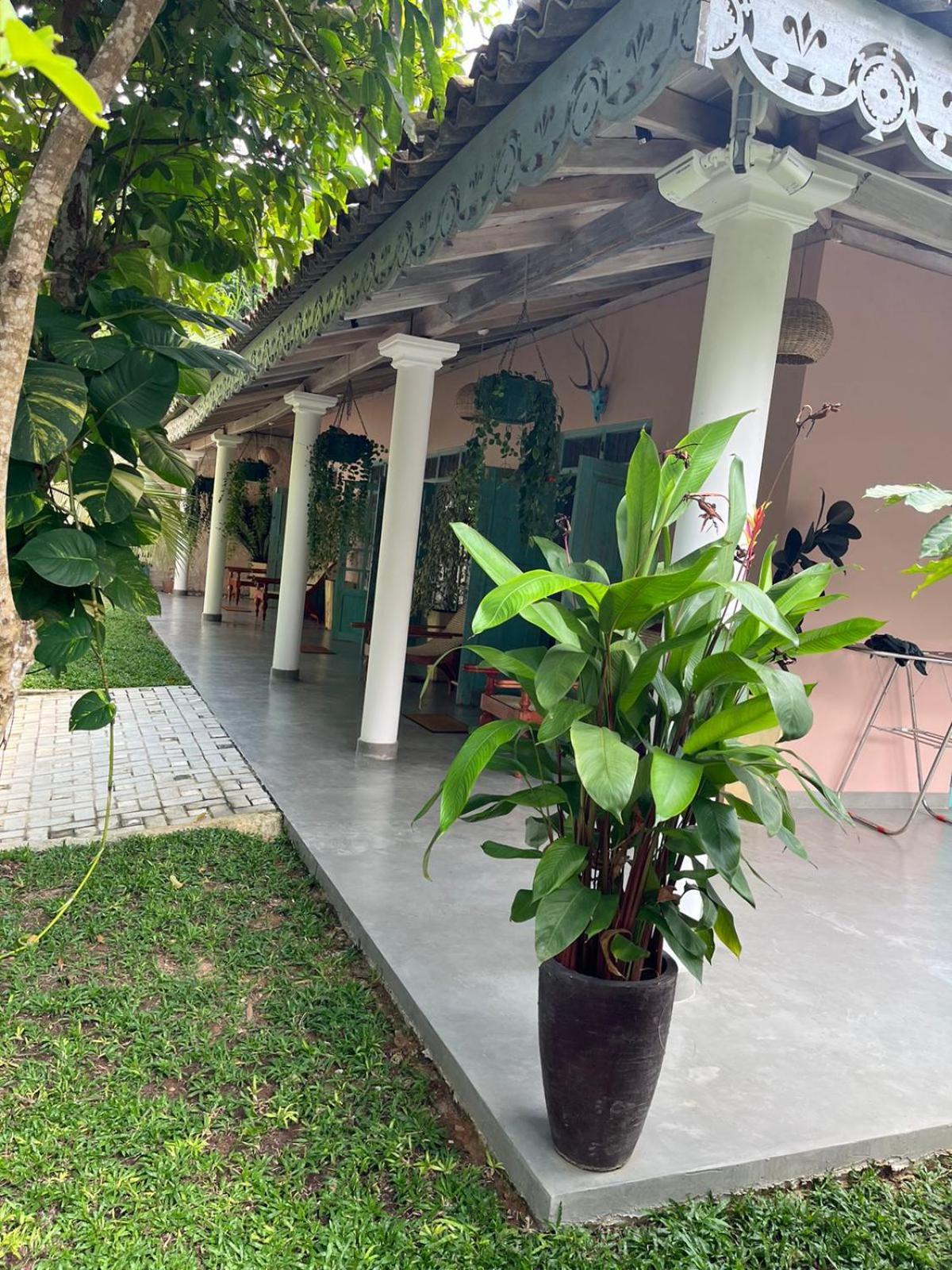 Ronaya Surf Waves Villa Dikwella Luaran gambar